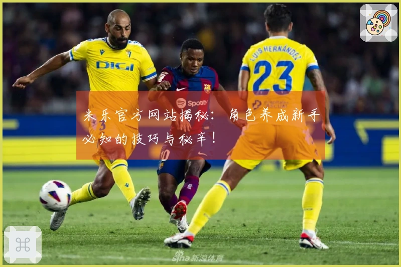 米乐官方网站揭秘：角色养成新手必知的技巧与秘辛!