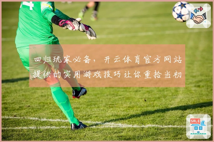 回归玩家必备，开云体育官方网站提供的实用游戏技巧让你重拾当初的激情